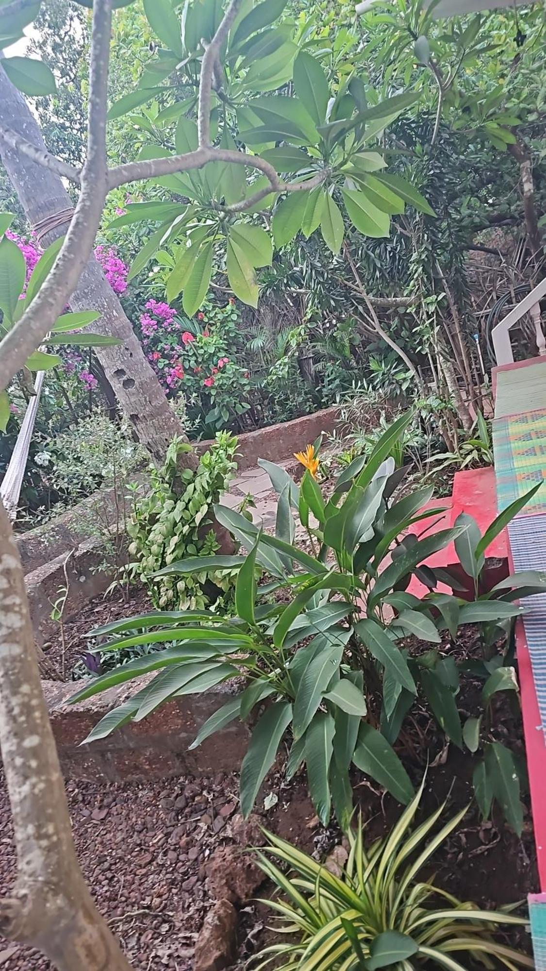 Laxmi Happy Home In Querim Goa Eksteriør bilde