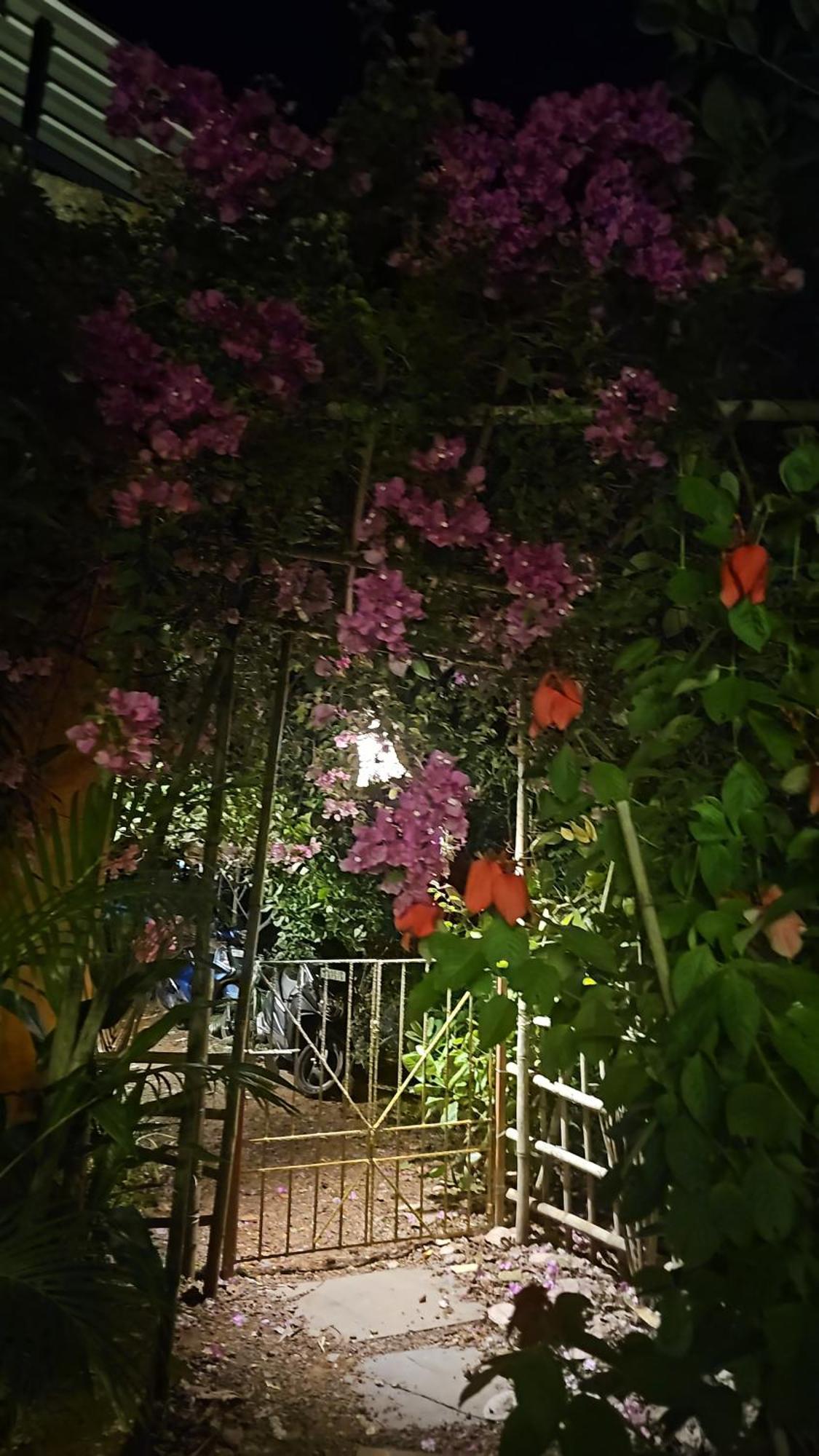 Laxmi Happy Home In Querim Goa Eksteriør bilde
